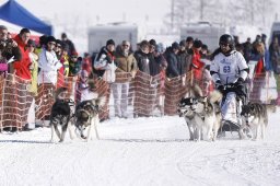 Lenk 2013